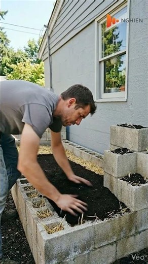 Start a small vegetable garden at home #garden #gardening #vegetables