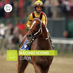🏆🏆 x Jockey Club Gold Cup 🥇 x Breeders' Cup Classic 🐎 x Sire of 40 stakes winners Curlin has made a huge impact during and after his racing career! | World Horse Racing