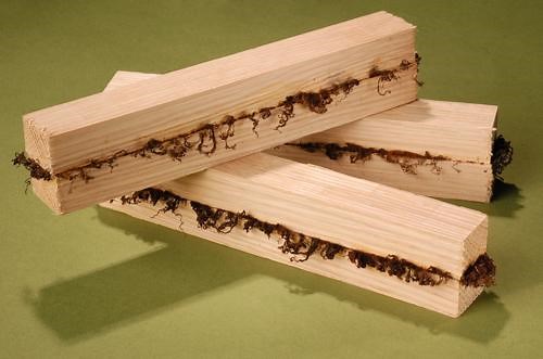 TWI Develops Wood Welding Process