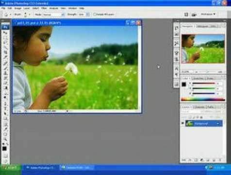 Learn Photoshop: Photoshop Training CS3 The Workspace