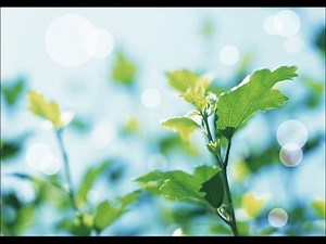 Adobe InDesign 使い方講座 8巻 5章「ショートカット編集」編