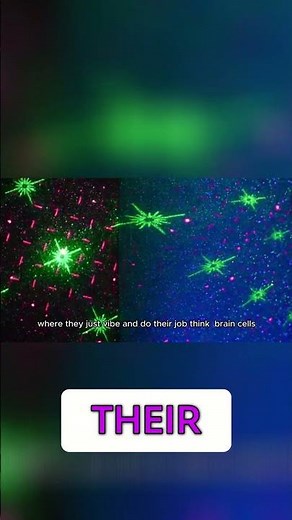 Cell Cycle: From G1 to Mitosis - Explained Simply!