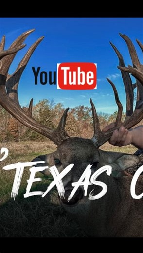 Team 200 on Instagram: "Season 12. New episode alert. Moonguides Team200 on YouTube #bucks #buck #whitetailbuck #whitetaildeer #explorethewhiteshell #rut #deerlife #trailcam #trailcams #trailcamera #deer #bigbuck #antlers #whitetail #deerlover #ruttingseason"