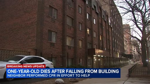 1-year-old boy dies after falling from Edgewater building, Chicago police say
