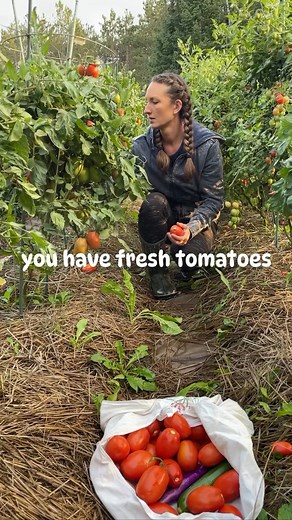 Something happens when you shift toward seasonal eating ⬇️ 🍽️You value and appreciate those ingredients much more if you know you won’t get them again for many months! 🍽️Food waste goes down tremendously 🍽️It encourages creativity in the kitchen 🍽️You step into the rhythms of nature instead of human demand and imported food 🍽️You can connect with and support your local farmers 🍽️The ingredients are fresher and more nutrient-dense 🍽️You’ll save money eating foods in season (always a plus!)