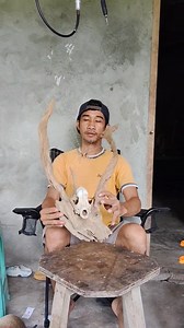 Driftwood transformation #driftwoodart | FFFVlog 2.0