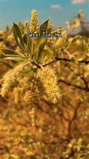 From centipedes to Lion scat. CKGR has a lot of life ,join us today | All Season Getaways | Facebook