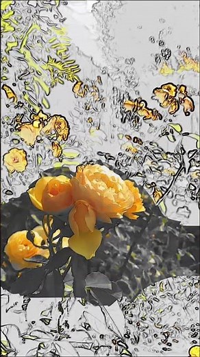 Masking Effect using Shotcut And Glaxnimate