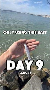 Day 9 of only using a jerkbait #fishing