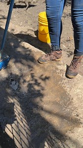 112K views · 1.5K reactions | Ever wondered what it’s like to be a zookeeper? Hear from our team! The Belize Zoo is looking for a Zookeeper to join our team. If you’re passionate about wildlife and conservation, this could be the perfect role for you.   Deadline to apply: March 15th ✅ Be sure to review all requirements before applying! | The Belize Zoo & Tropical Education Center | Facebook