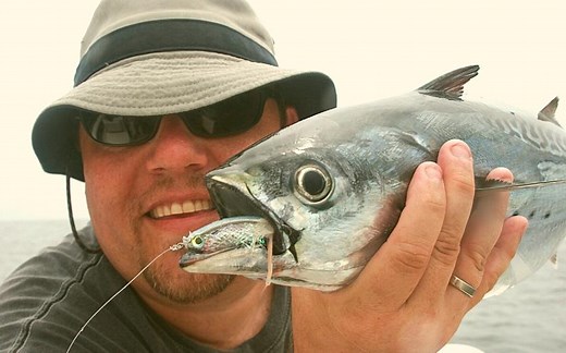 Are False Albacore Good to Eat? Whole Truth (Explained)