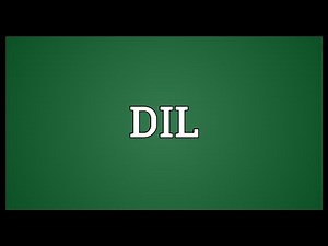 DIL Meaning
