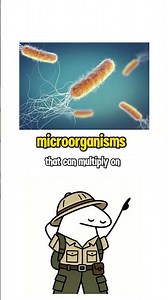 What’s the difference Virus vs Bacteria? #learning #science
