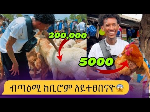🛑 ዋጋ ሓደ በጊዕ እና ደርሆ ክንደይ ኢዩ? 🤔ምስ ወዲ ሱዳን🤗