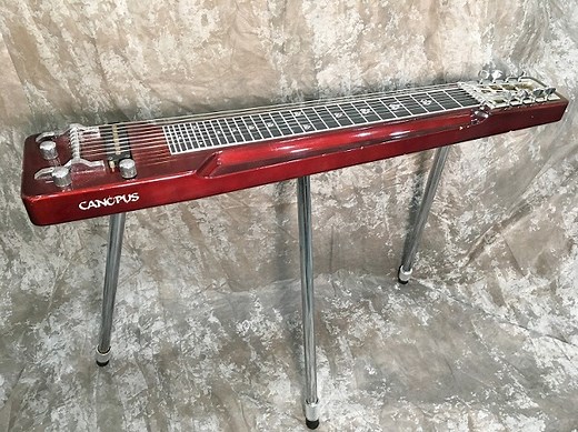 スチールギター　レビュー　Canopus | RGS Guitar School