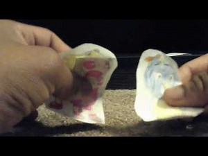 The Backyardigans s4 ep13: The Flipper