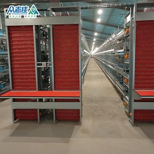 [Hot Item] Poultry Farming Equipment Chicken Layer Cage Fully Automated Battery System Brooding Chicken Cage