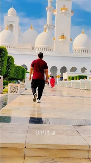 #dubailfe #cat #alltools #cooltool #cute #gadgests # #tinytools #tool #funny #funny #toolkit 🇦🇪