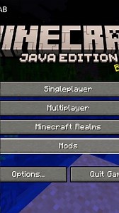 Minecraft Java edition on mobile 😱🔥#minecraftjava#minecraft #trending #gaming #trendingshorts #viral