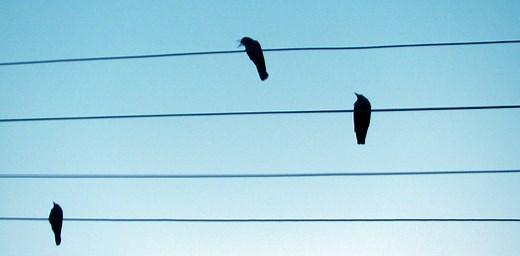 Music and physics –  the connections aren’t trivial