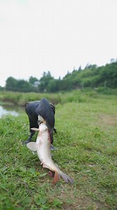 Amazing Bird feeding moment ! #shortsreels #BirdRealShot #likeforlikes #birds #birdsofafeather #birdsoftiktok #BirdsOfInstagram #short #viralreelsfacebook | wildlife park