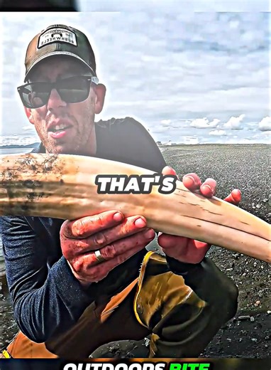 Hunting and Camping for Walrus: Part 6