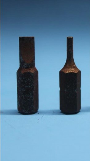 Seeing the Small World: Mike’s Micro Photography Showcase