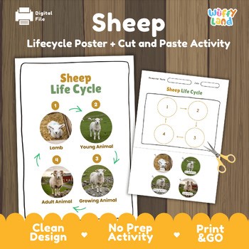 Sheep Life Cycle Chart & Cut and Paste Activity | Farm Animal Biology Worksheet