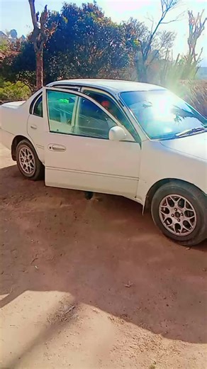 Saddam Saddique (@saddamsaddique1)’s videos with original sound - Roznama Saltnat