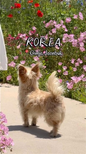 김제 여행 가면 꼭 들러야 할 곳 #오느른책밭 #김제여행 #김제가볼만한곳 #전북여행 #국내여행지 #독립책방