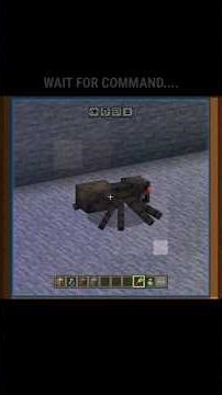 Minecraft Hacks Command