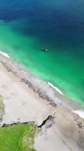 Irish Explorer on TikTok