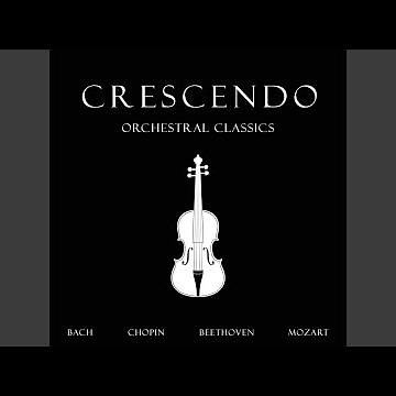 Chopin: Piano Concerto No. 1 in E Minor, Op. 11: II. Romance. Larghetto (Pt. 9)