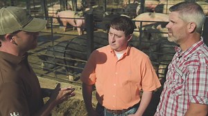 73K views · 1.1K reactions | THE SECRET TO GETTING AHEAD IS GETTING...