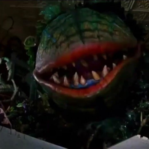 alien superstar - audrey ii