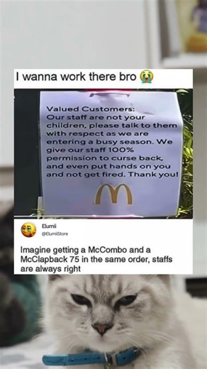 Sounds like the dream job