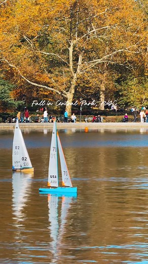 Slow down with me for 20 seconds and enjoy the golden peak of fall in NY. Thank you, Fall. You were beautiful 😍🥹 See you next year👋 . . #digitaldiary #fallinnyc #autumninnewyork #slowliving | NoteProject