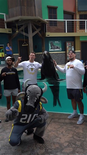 The San Antonio Brahmas took a break from the field to hang out with one of our sea lions and explore Rescue Jr.— our brand-new play area just for kids (and kids at heart). From hands-on fun to a friendly ride, the team and team mascot Bravo had a blast! Good luck tonight! 🏈 | SeaWorld San Antonio