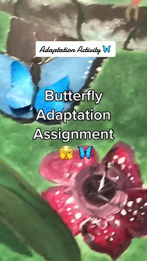 Butterfly adaptation activity 🦋 the key is great coloring sticking tape correctly 📌 #teachersoftiktok #teacherlife #scienceteacher #camoflauge #adaptation #animalassignment #interactive #ecology #disguisethebutterfly #dayinmylife