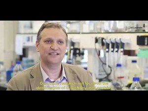 In the heart of metabolism to fight cardiovascular diseases