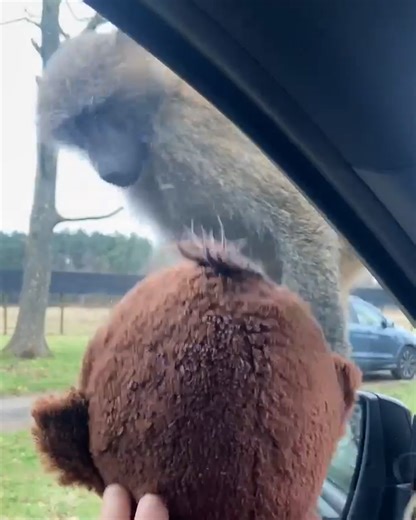 3.3M views · 19K reactions | His life flashed before his eyes  | LADbible | Facebook