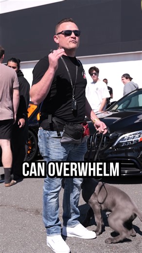 57K views · 804 reactions | Why It’s Important To Have Moderation With Your Dog #dog #dogs #puppy #doglover | American Standard Dog Training | Facebook