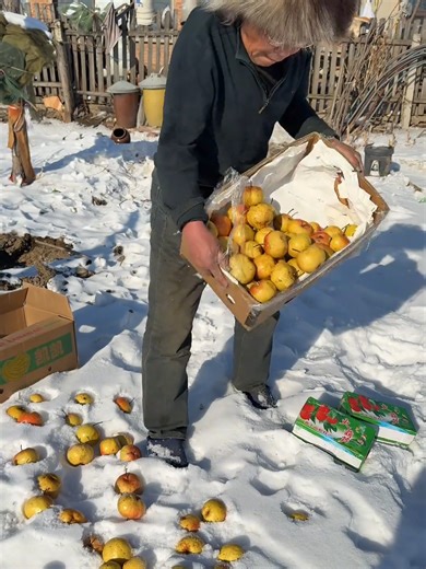 Frozen pears multiple times to enhance their flavor#satisfying #coutry #food #facts #fruit #tips