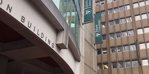 Sterile, non-biting mosquitoes could ‘debug Louisiana,’ research points to