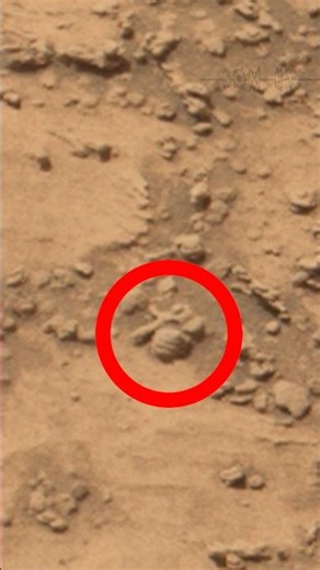Som ET - 58 - Mars - Curiosity Sol 4823 - 3