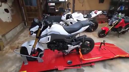 Rebuilding a Wrecked 2018 Honda Grom Motorcycle from Copart auction | Part 1