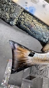 1.3K views · 70 reactions |  A stunning Redfish replica painted to match a unique fish, perfect for anglers who love the challenge of backcountry and marsh fishing.  Crafted with unmatched precision, it’s more than a mount - it’s a memory of your best fishing moments. #Redfish #BackcountryFishing #MarshFishing #LouisianaFishing #AnglerLife #FishingArt #SaltwaterFishing #SportFishing #FishingAddict #KingSailfishMounts | King Sailfish Mounts | Facebook