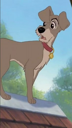 How Does He Know TRAMP'S Name | Lady and the Tramp 2 Scamps Adventure #disney
