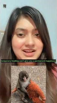 punch #trending #viral #short #punch #monkey #emotionalstory #motivation #viralmonkey