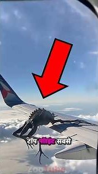 Top 5 Weirdest Animals Caught on Camera 😱📸 #shorts